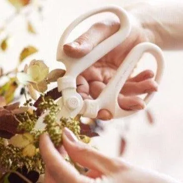 Japanese Floral Clippers