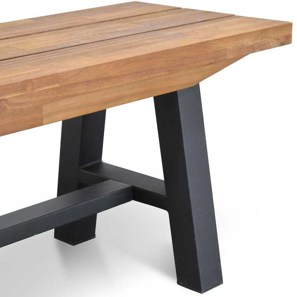 Outdoor Wooden Bench - Natural Top and Black Legs