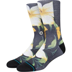 Rivi Tropics